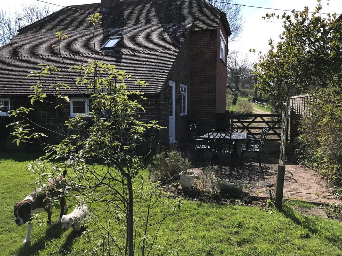 Godshill Park Cottages Buitenkant foto