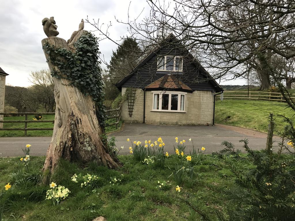 Godshill Park Cottages Buitenkant foto